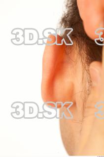 Ear texture of Franklin 0003